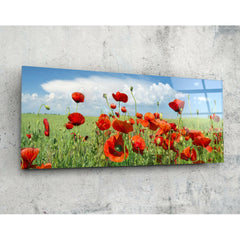 Poppy Flower Panoramic Glass Print